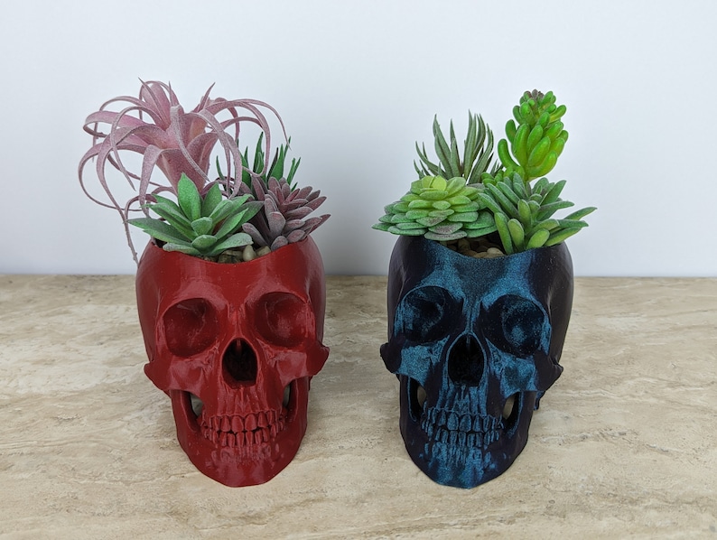 Skull Planter, Succulent Pot, Realistic, Spooky, Halloween, 3D Printed image 4