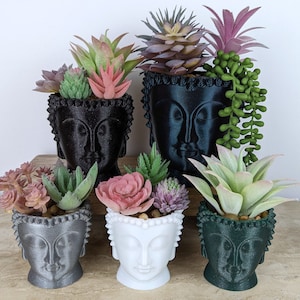 May include: Five small succulent plants in black, white, and gray Buddha head planters. The plants are arranged in a row on a wooden surface.