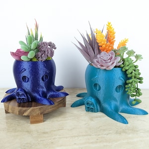 May include: Two octopus-shaped planters, one blue and one teal, with succulent plants inside. The planters are sitting on wooden bases.