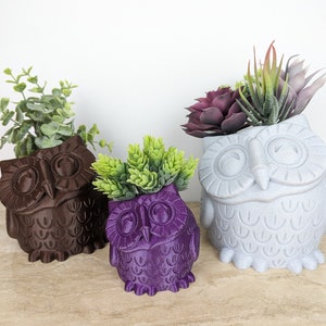 May include: Three owl-shaped planters in different colors: brown, purple, and gray. Each planter has a small plant growing out of the top.
