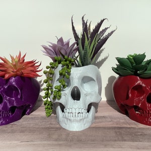 Skull Planter, Succulent Pot, Realistic, Spooky, Halloween, 3D Printed image 1