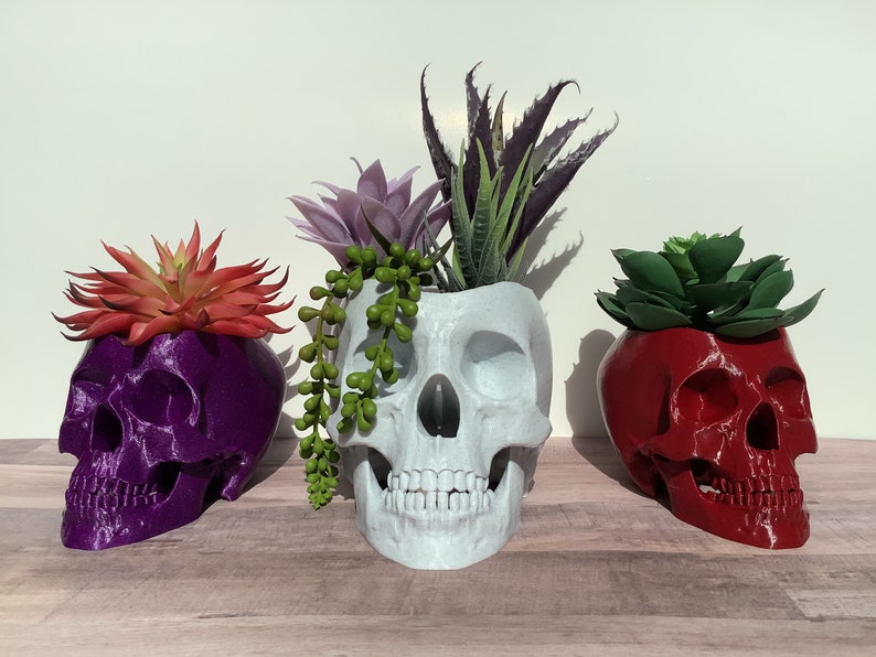 Skull Planter, Succulent Pot, Realistic, Spooky, Halloween, 3D Printed image 1
