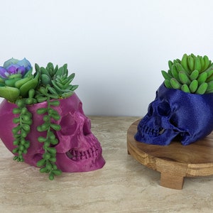 Skull Planter, Succulent Pot, Realistic, Spooky, Halloween, 3D Printed image 5