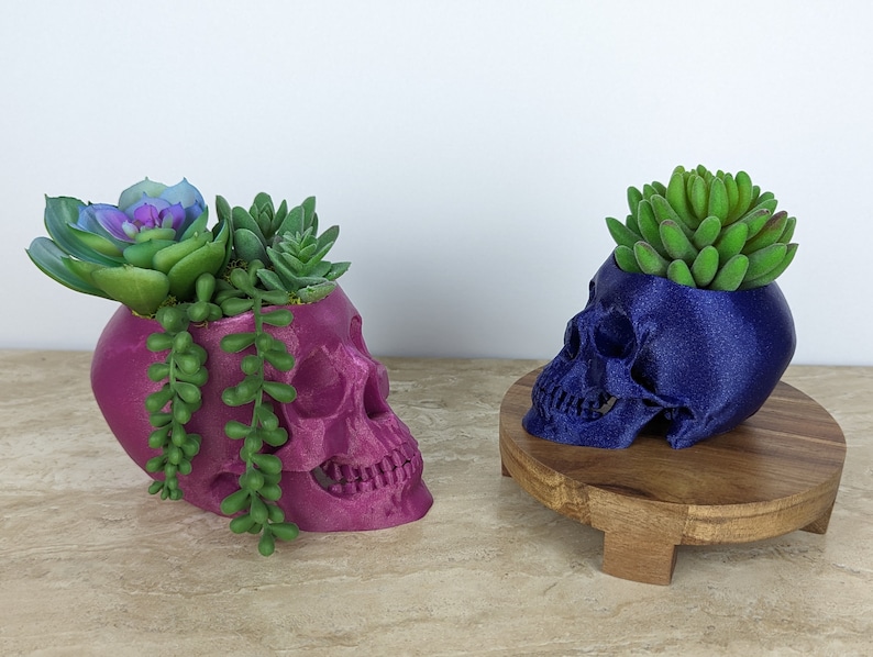 Skull Planter, Succulent Pot, Realistic, Spooky, Halloween, 3D Printed image 5