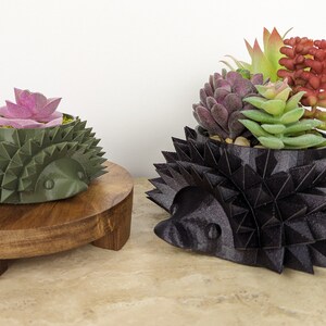 May include: Two black and green hedgehog-shaped planters with succulents. The smaller planter has pink flowers and is on a wooden stand. The larger planter has a variety of green and red succulents.