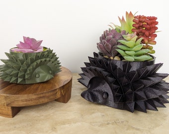 Hedgehog Planter, Succulent Pot, Cute Animal Planter, 3D Printed