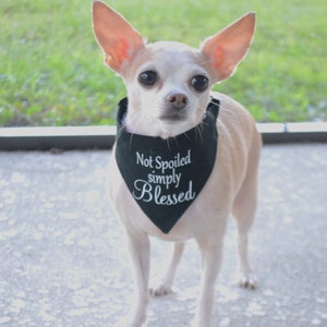Simply Blessed Dog Bandana, Praise Walk, Christian Dog Bandana, Faith Dog Bandana