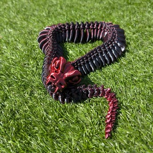 articulated snake skeleton