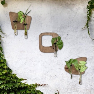 May include: Three wooden wall planters with geometric shapes, each with a glass test tube for holding small plants. The planters are mounted on a white wall.