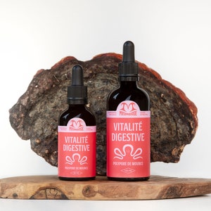 May include: Two brown glass bottles with droppers, labeled "Vitalité Digestive" and "Polypore de Mouche" on a wooden surface. The bottles are in front of a large, reddish-brown piece of wood.