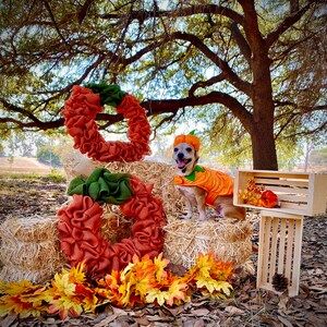 Fall burlap wreath, Pumpkin shaped wreath, Pumpkin wreath, Farmhouse wreath, Fall wreath, Pumpkin door wreath, Wreath, Burlap Wreath