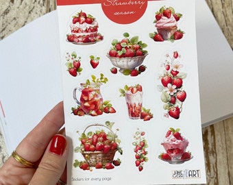 Strawberry Season planner stickers Fruit bujo stickers