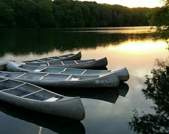 Serenity