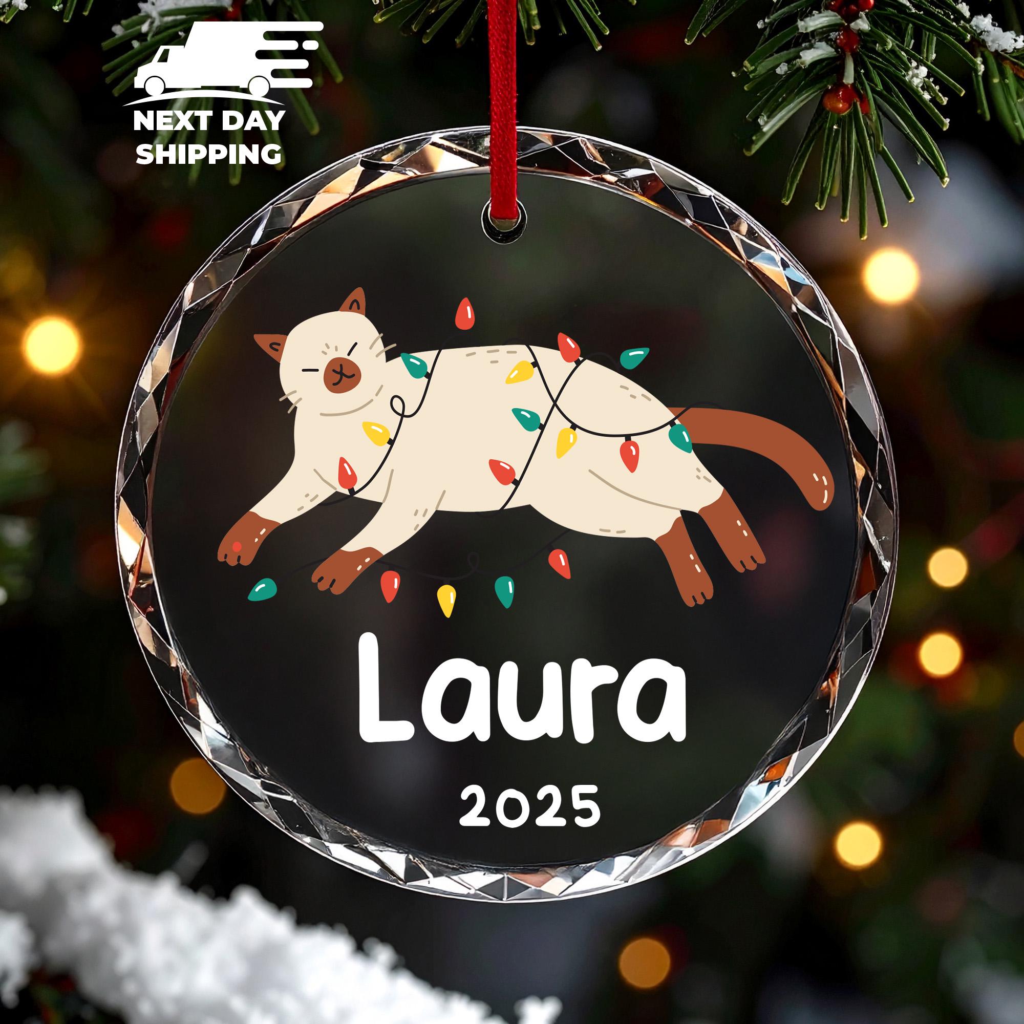 Personalized Cat Christmas Ornament 2025, Custom Cat Wrapped Lights Name Ornament, Pet Lover Christmas Tree Keepsake, Memorial Pet Ornament