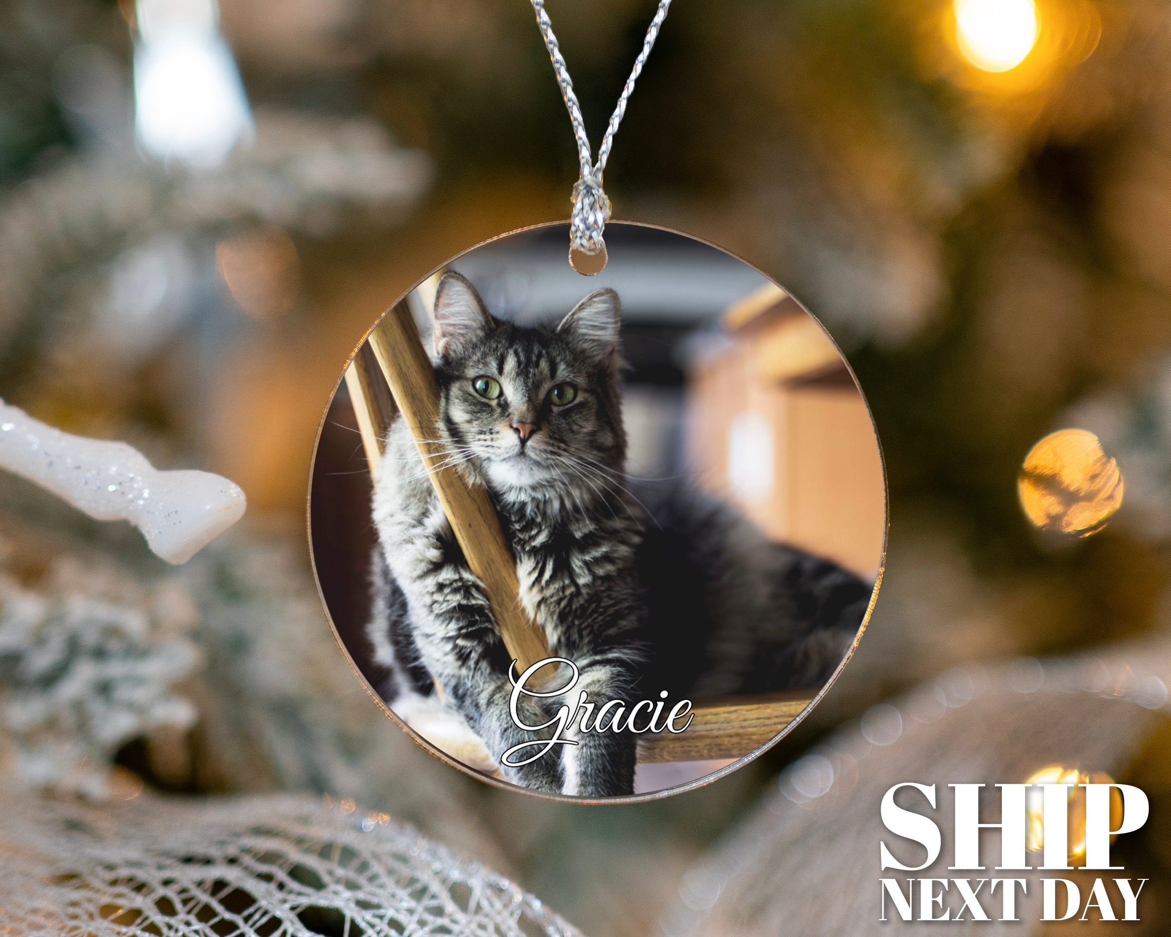 Custom Cat Picture Ornament, Pet Photo Ornament, Christmas Gifts, Personalized Christmas Ornaments, Dog Ornament, Pet Memorial Ornament