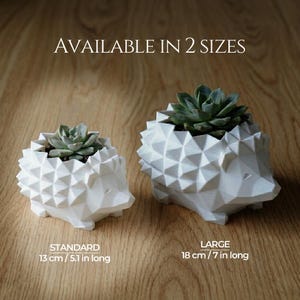 Low Poly Hedgehog Planter | 3D Printed Succulent Pot | Cute Desktop Planter for Cactus & Succulents | Available in 2 Sizes, Custom Drainage Standard