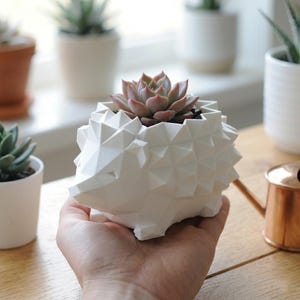 Low Poly Hedgehog Planter | 3D Printed Succulent Pot | Cute Desktop Planter for Cactus & Succulents | Available in 2 Sizes, Custom Drainage imagen 4