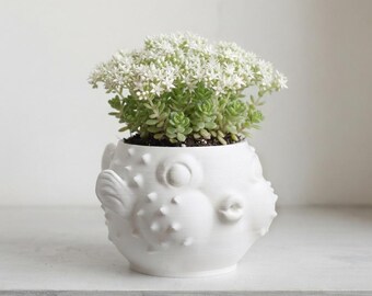 3D Printed Puffer Fish Planter - Unique Succulent Pot, Cute Marine Life Home Decor Gift, Eco-Friendly PLA Flower Pot, Desk Accessory
