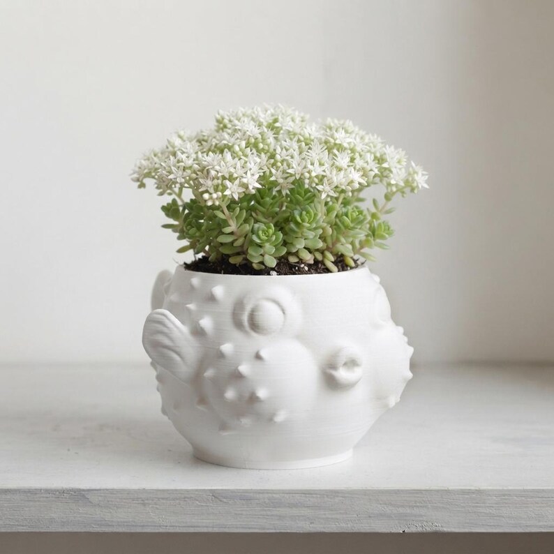 3D Printed Puffer Fish Planter - Unique Succulent Pot, Cute Marine Life Home Decor Gift, Eco-Friendly PLA Flower Pot, Desk Accessory imagen 3