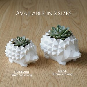 Low Poly Hedgehog Planter | 3D Printed Succulent Pot | Cute Desktop Planter for Cactus & Succulents | Available in 2 Sizes, Custom Drainage imagen 3