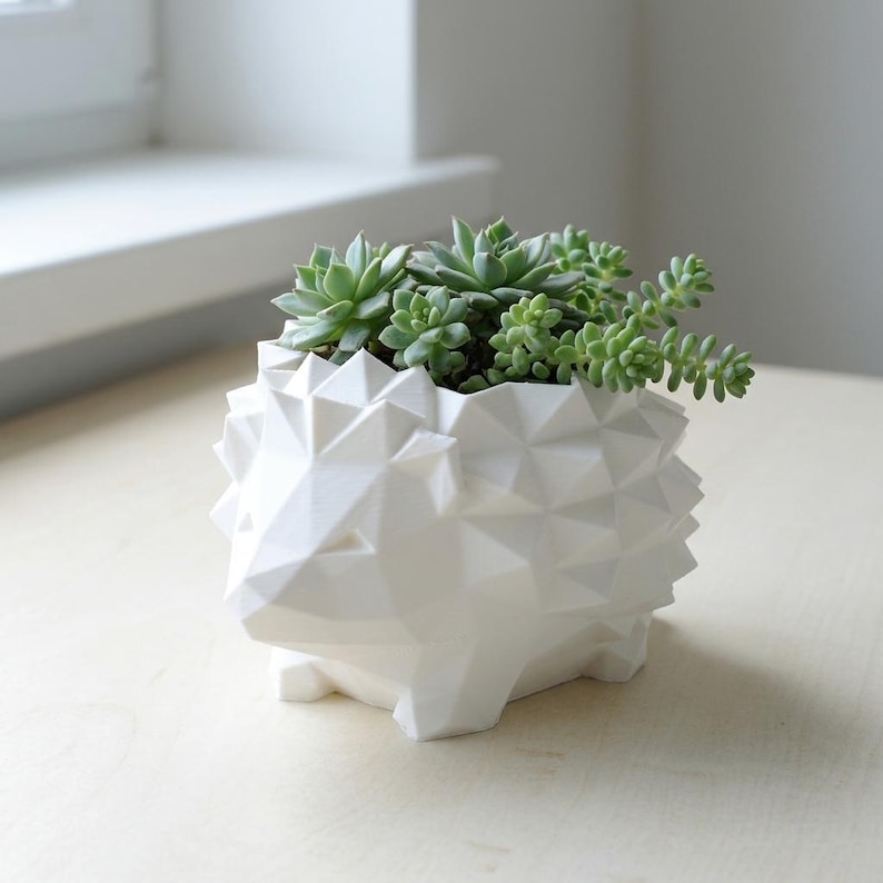Low Poly Hedgehog Planter | 3D Printed Succulent Pot | Cute Desktop Planter for Cactus & Succulents | Available in 2 Sizes, Custom Drainage imagen 2