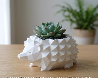 Low Poly Hedgehog Planter | 3D Printed Succulent Pot | Cute Desktop Planter for Cactus & Succulents | Available in 2 Sizes, Custom Drainage