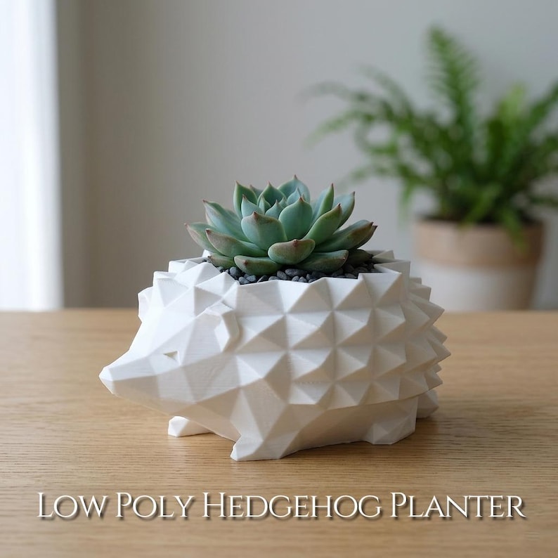 Low Poly Hedgehog Planter | 3D Printed Succulent Pot | Cute Desktop Planter for Cactus & Succulents | Available in 2 Sizes, Custom Drainage imagen 1