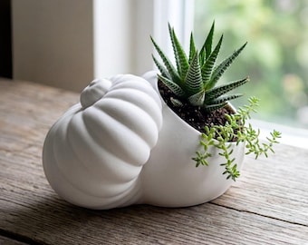 White Spiral Planter | Seashell Succulent Planter, 3D Printed White Shell Plant Pot, Coastal Home Decor, Nautical Desk Accessory