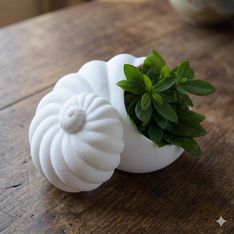 May include: A white, seashell-shaped ceramic planter with a matching lid. The planter is filled with vibrant green leaves. The design features a spiral pattern on the lid and the body of the planter. The planter is sitting on a wooden surface.