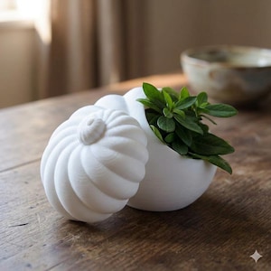 White Spiral Planter | 3D Printed Plant Pot | Modern Minimalist Home Decor | Sculptural Indoor Planter | Free Shipping Worldwide