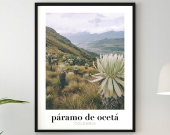 Páramo de Ocetá, Colombia, Original Photo, Foto de Colombia, Original Photography, Poster, Print, Art, Poster 18x24 24x30 30x40 40x50 A2