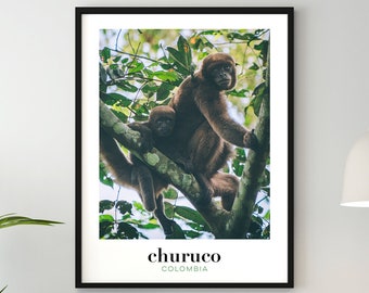 Churuco Monkey, Colombia, Original Photo, Foto de Colombia, Original Photography, Poster, Print, Art, Poster 18x24 24x30 30x40 40x50 A2
