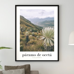May include: A framed print of a landscape scene with a mountain range in the background and a field of green plants in the foreground. The text "páramo de ocetá" and "COLOMBIA" is printed below the image.