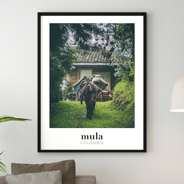 Mula, Colombie, Photo originale, Foto de Colombia, Original Photography, Poster, Print, Wall Art, Affiche 18x24 24x30 30x40 40x50 A2