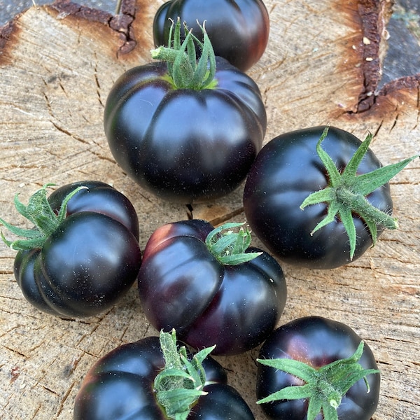 Black Beauty Tomate Samen - Seltene, alte Tomate