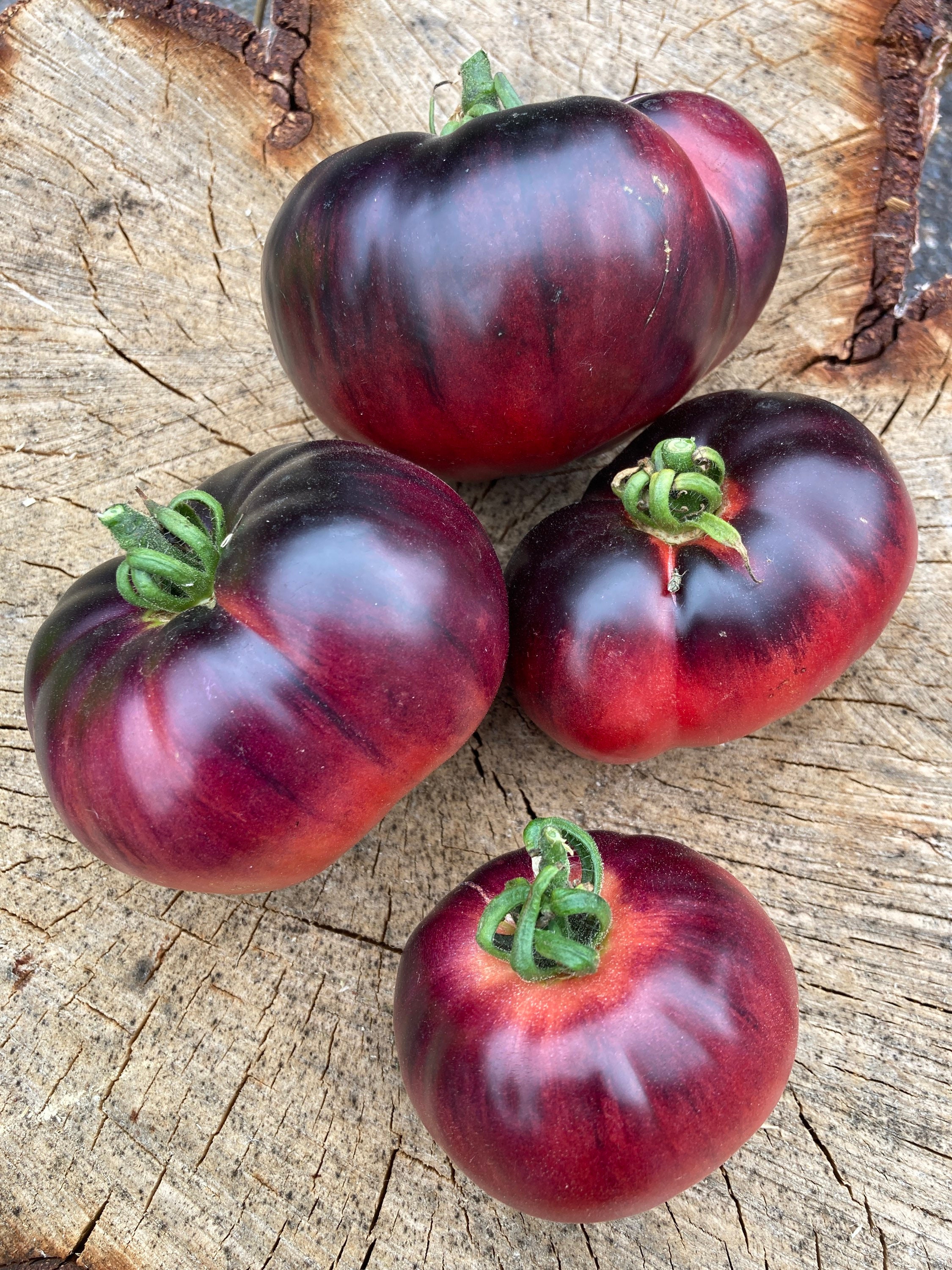 Amethyst Jewel Tomato Seeds Rare Heirloom Tomatoes image
