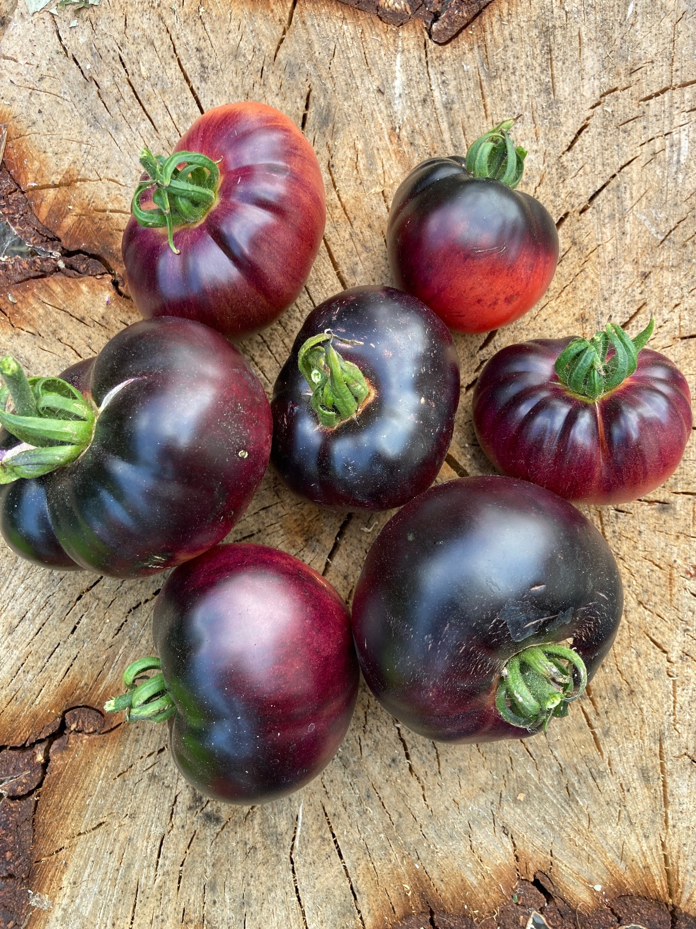 Amethyst Jewel Tomato Seeds Rare Heirloom Tomatoes - Etsy UK