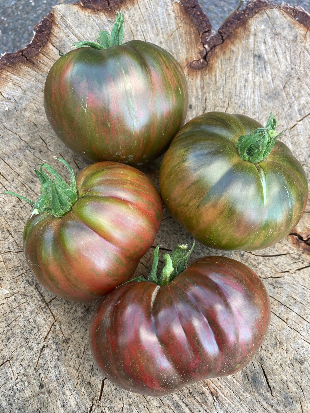 Pink Berkeley Tie Dye | Two Seeds in a Pod Heirloom Seed Company