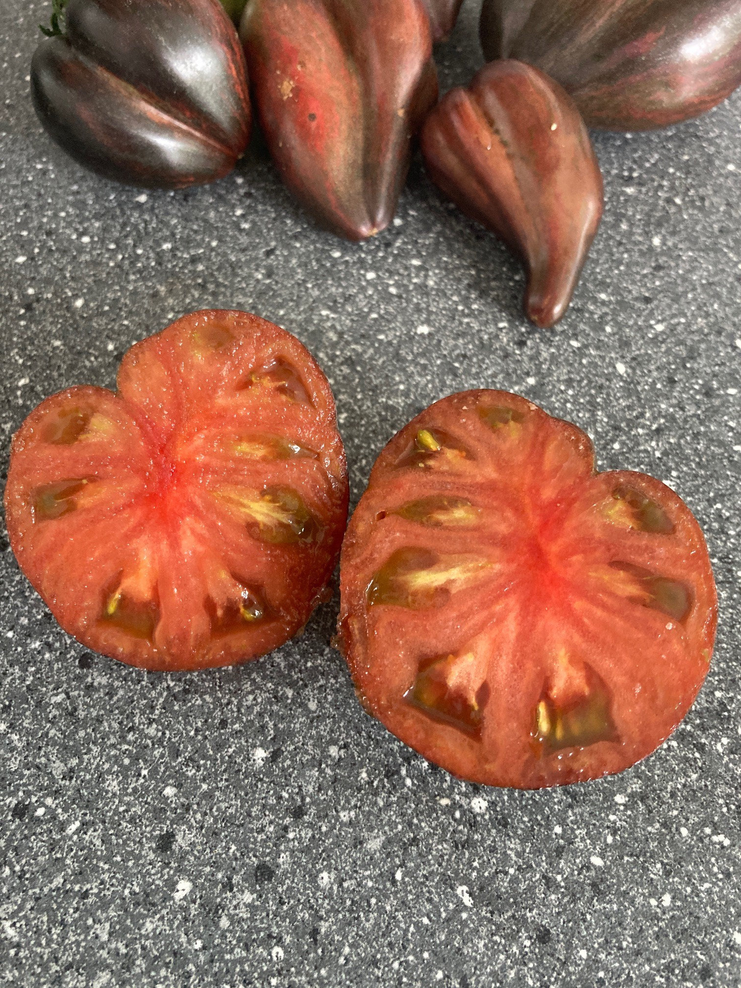 Rebel Starfighter Prime Tomato Seeds Rare Heirloom Tomatoes Etsy Australia