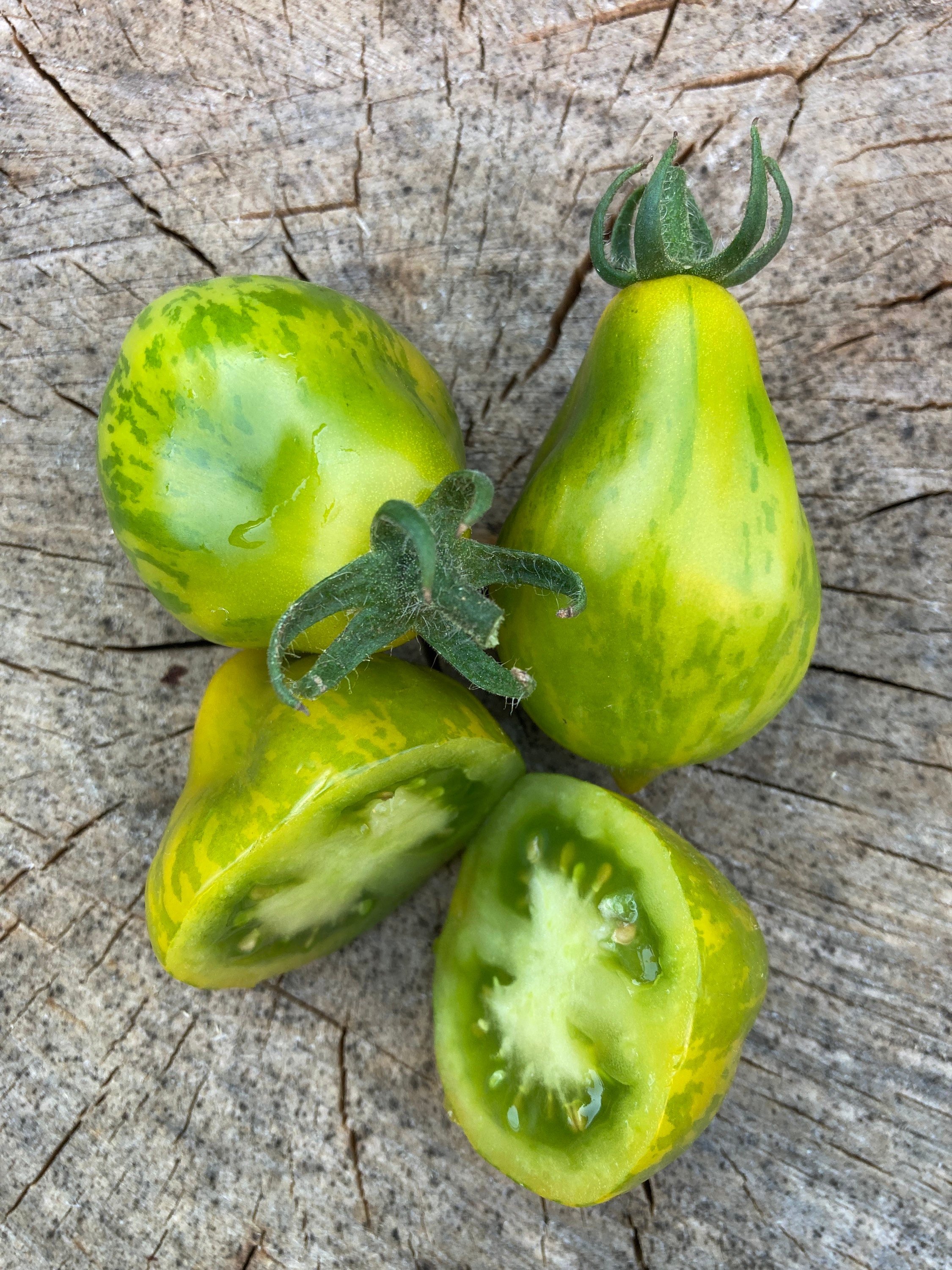 Michael Pollan Tomato Seeds Rare Heirloom Tomatoes pic