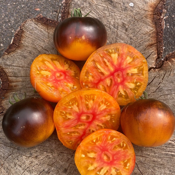 Lucid Gem Tomato Seeds - Rare, Heirloom Tomatoes