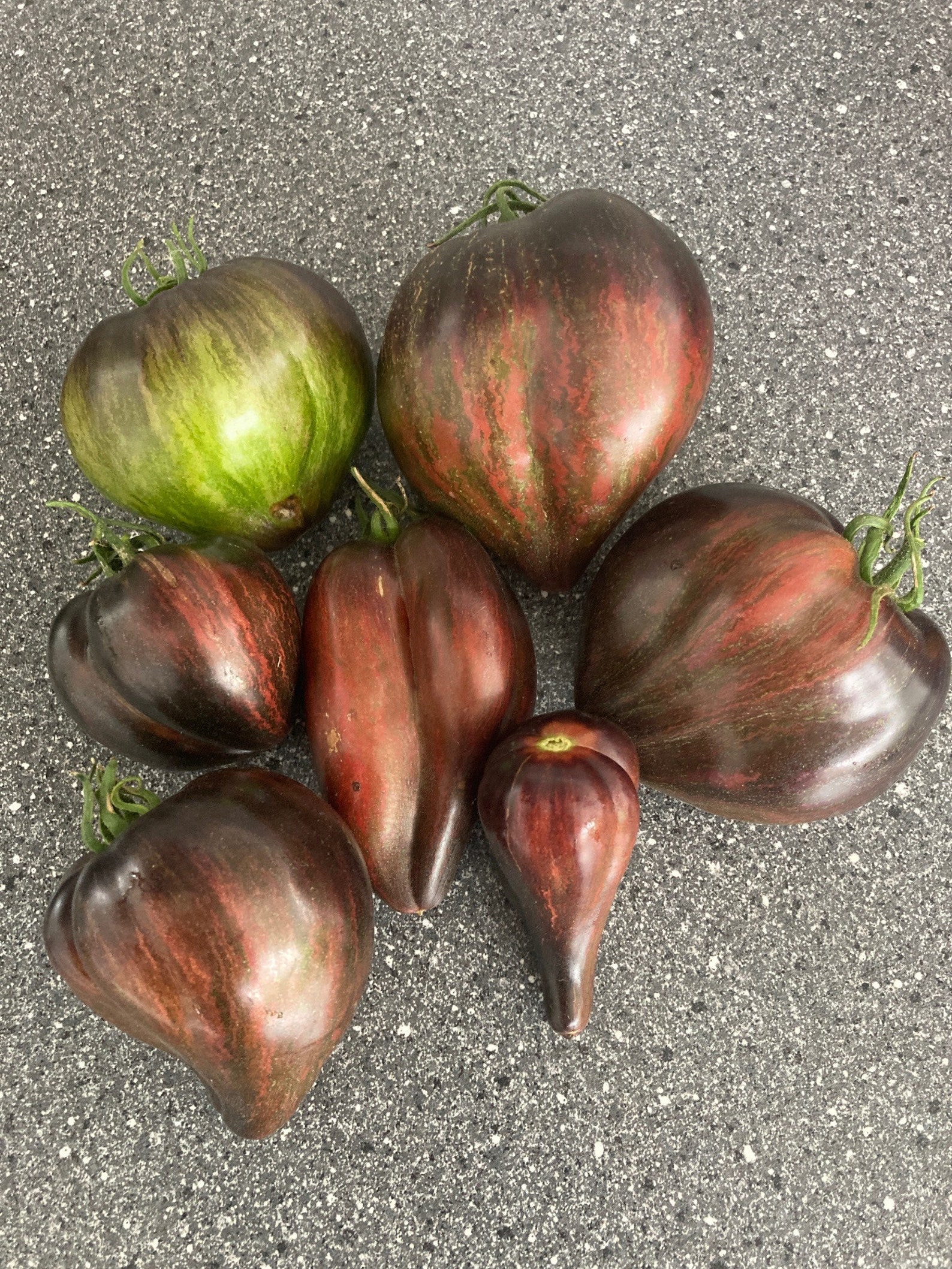 Rebel Starfighter Prime Tomato Seeds Rare Heirloom Tomatoes Etsy Australia
