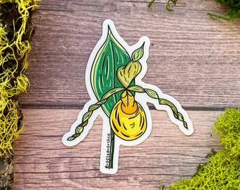 Yellow Lady Slipper, Orchid, Vinyl Sticker, Protected Plants, Bruce Peninsula, Ontario Canada, Canadian National Parks