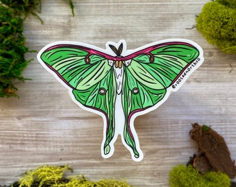 Luna Moth, Vinyl Sticker, Bruce Peninsula, Ontario Canada