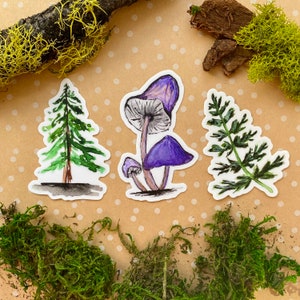 Collection de trouvailles de la forêt, aquarelle, autocollant en vinyle, champignon violet, pin, fougère, péninsule de Bruce, Fathom Five, Ontario Canada