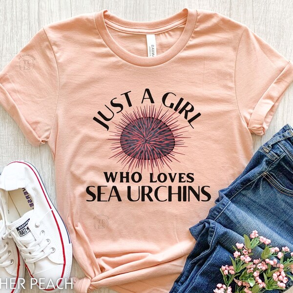 Sea Urchin - Etsy
