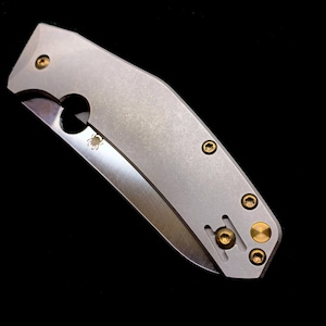 May include: A silver folding knife with a partially exposed blade. The knife features a round hole near the blade's pivot point and a small spider logo. Gold-colored screws secure the handle.