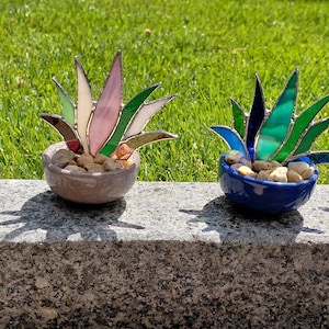 Könnte beinhalten: Vier dekorative Sukkulenten-Pflanzen aus Buntglas, jeweils in einem kleinen Keramiktopf. Die Pflanzen haben farbige Blätter in Grün, Rot, Rosa und Blau. Die Töpfe sind grün, beige, blau und rot und mit Kieselsteinen gefüllt.
