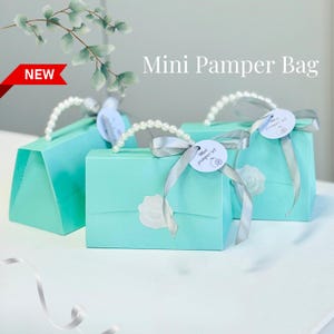 May include: Three turquoise gift bags with pearl handles and silver ribbon bows. Each bag has a white label and a decorative sticker. The bags are labeled "Mini Pamper Bag" and are marked "NEW".