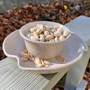 May include: A speckled ceramic bowl filled with pistachios sits on a matching, uniquely shaped plate. The bowl and plate are light beige with dark speckles. Some pistachio shells are scattered around the base of the bowl.